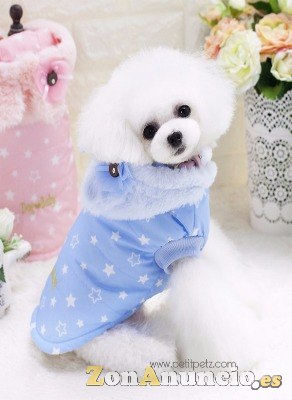 Abrigo impermeable para perros pequeños toy miniatura